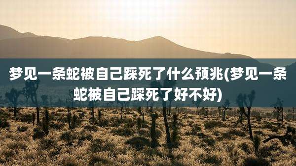 梦见一条蛇被自己踩死了什么预兆(梦见一条蛇被自己踩死了好不好)