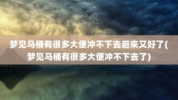 梦见马桶有很多大便冲不下去后来又好了(梦见马桶有很多大便冲不下去了)
