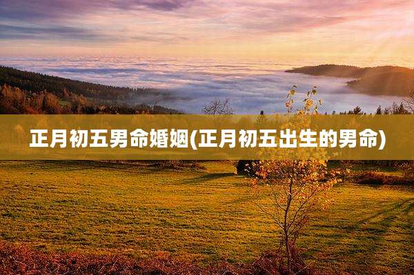 正月初五男命婚姻(正月初五出生的男命)