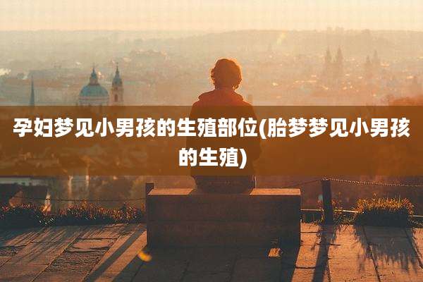 孕妇梦见小男孩的生殖部位(胎梦梦见小男孩的生殖)