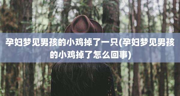 孕妇梦见男孩的小鸡掉了一只(孕妇梦见男孩的小鸡掉了怎么回事)