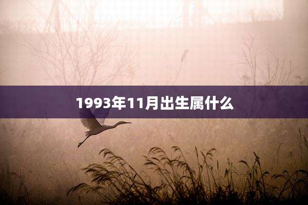 1993年11月出生属什么