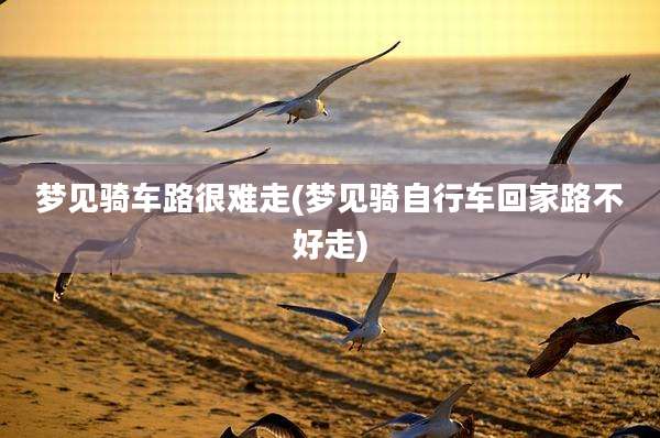 梦见骑车路很难走(梦见骑自行车回家路不好走)