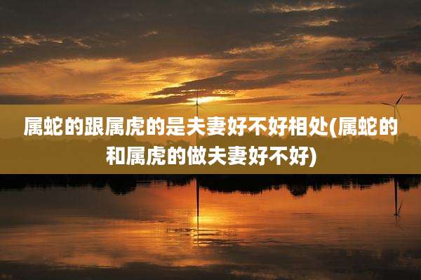 属蛇的跟属虎的是夫妻好不好相处(属蛇的和属虎的做夫妻好不好)