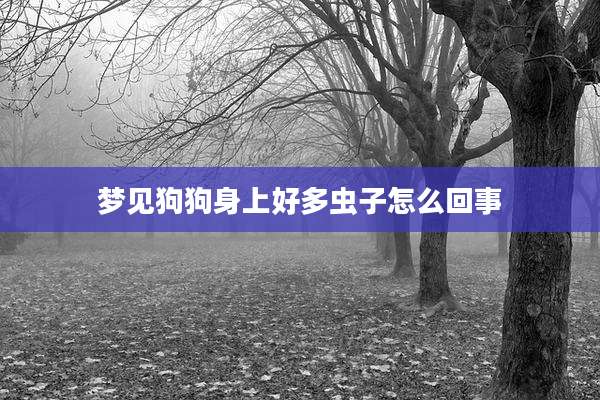 梦见狗狗身上好多虫子怎么回事