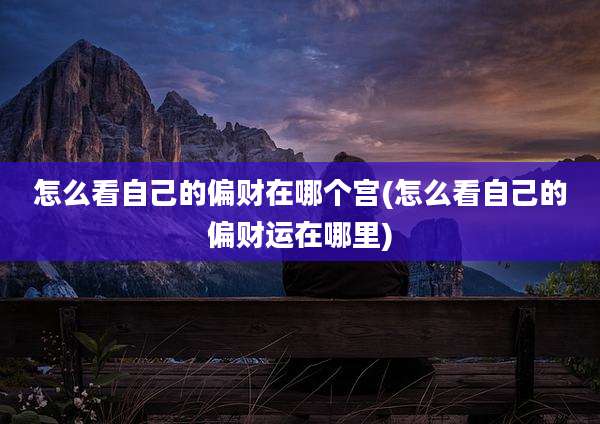 怎么看自己的偏财在哪个宫(怎么看自己的偏财运在哪里)