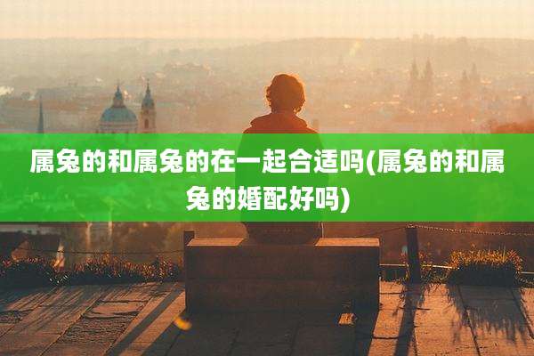 属兔的和属兔的在一起合适吗(属兔的和属兔的婚配好吗)