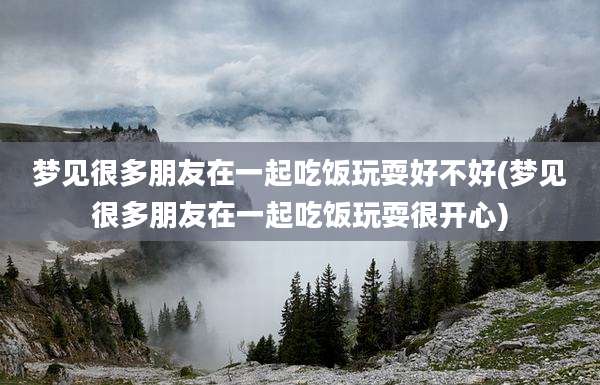 梦见很多朋友在一起吃饭玩耍好不好(梦见很多朋友在一起吃饭玩耍很开心)