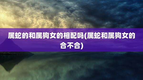 属蛇的和属狗女的相配吗(属蛇和属狗女的合不合)