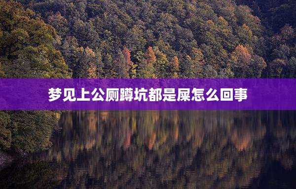 梦见上公厕蹲坑都是屎怎么回事