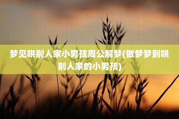 梦见哄别人家小男孩周公解梦(做梦梦到哄别人家的小男孩)