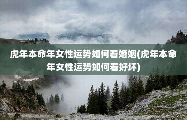 虎年本命年女性运势如何看婚姻(虎年本命年女性运势如何看好坏)