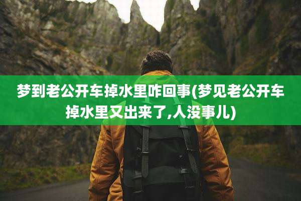 梦到老公开车掉水里咋回事(梦见老公开车掉水里又出来了,人没事儿)