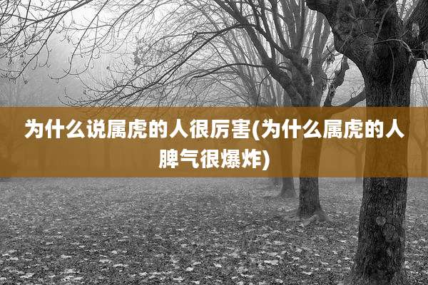 为什么说属虎的人很厉害(为什么属虎的人脾气很爆炸)