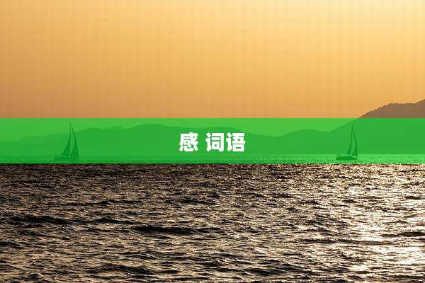 感 词语