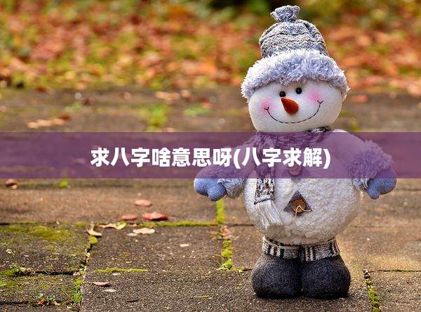 求八字啥意思呀(八字求解)