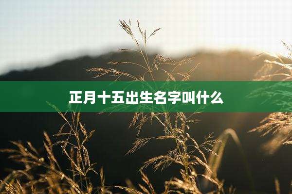 正月十五出生名字叫什么