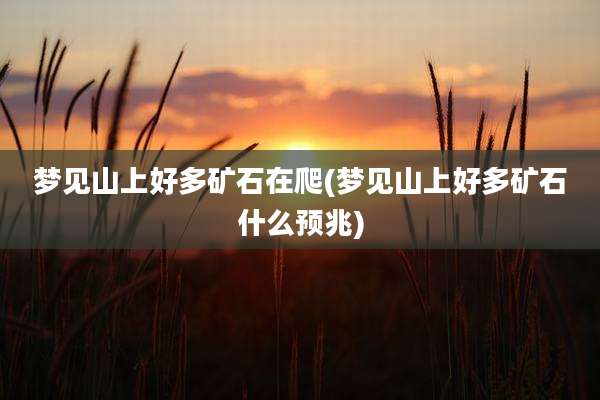 梦见山上好多矿石在爬(梦见山上好多矿石什么预兆)
