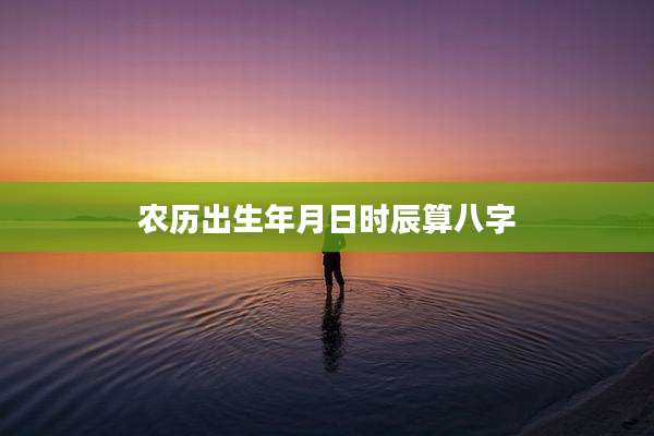 农历出生年月日时辰算八字