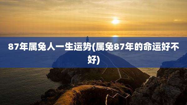 87年属兔人一生运势(属兔87年的命运好不好)