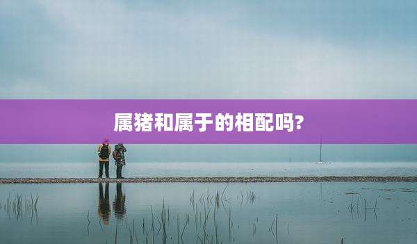 属猪和属于的相配吗?