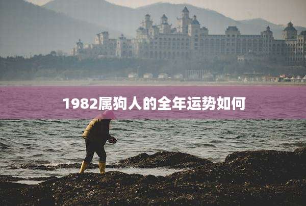 1982属狗人的全年运势如何