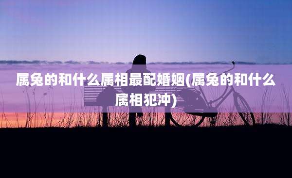 属兔的和什么属相最配婚姻(属兔的和什么属相犯冲)