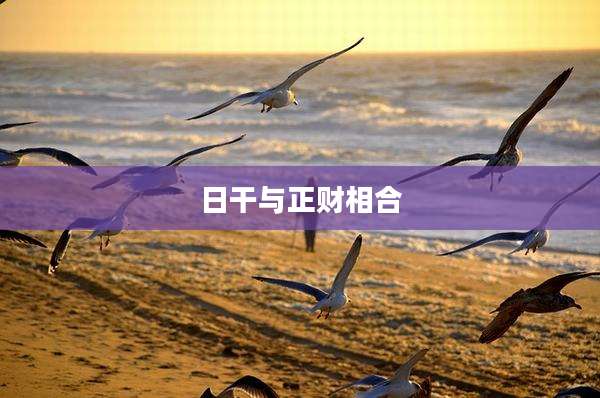 日干与正财相合