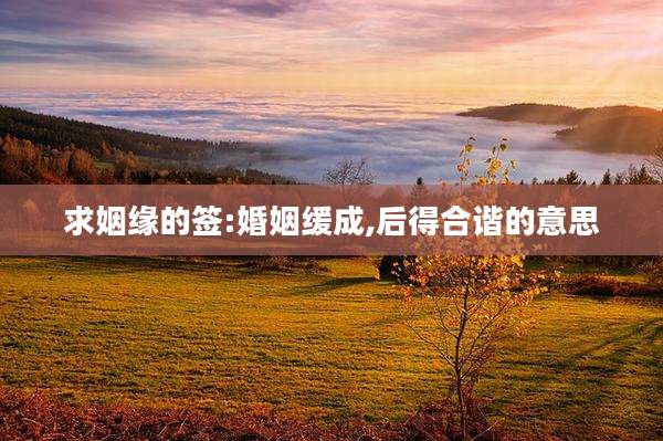 求姻缘的签:婚姻缓成,后得合谐的意思