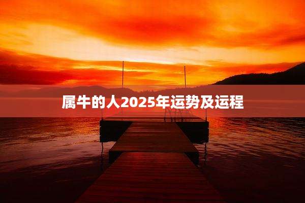 属牛的人2025年运势及运程