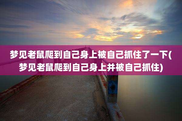 梦见老鼠爬到自己身上被自己抓住了一下(梦见老鼠爬到自己身上并被自己抓住)