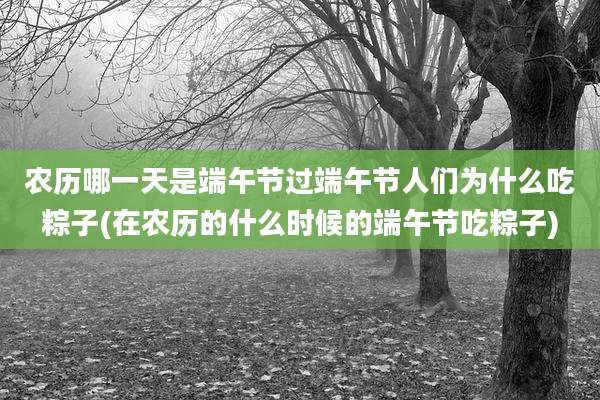 农历哪一天是端午节过端午节人们为什么吃粽子(在农历的什么时候的端午节吃粽子)