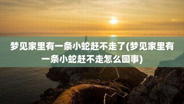 梦见家里有一条小蛇赶不走了(梦见家里有一条小蛇赶不走怎么回事)