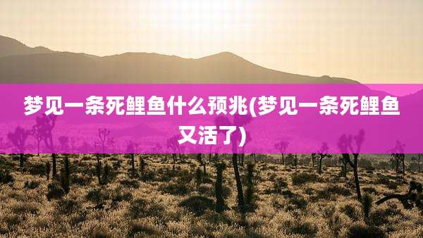 梦见一条死鲤鱼什么预兆(梦见一条死鲤鱼又活了)