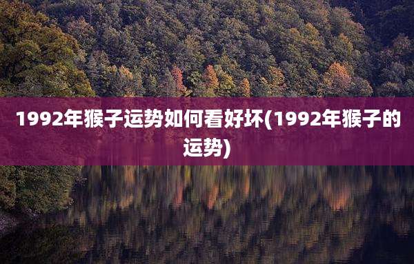 1992年猴子运势如何看好坏(1992年猴子的运势)