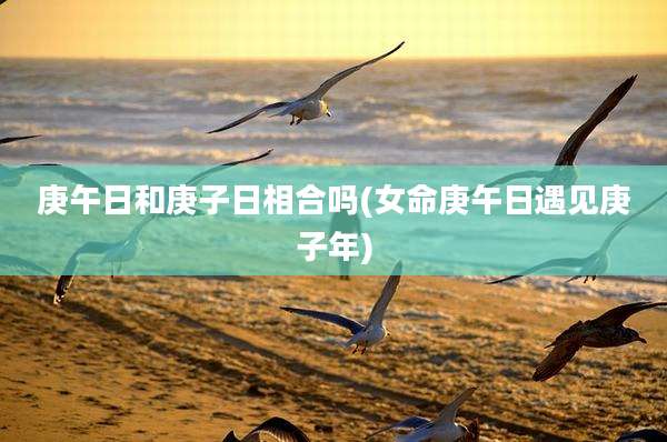 庚午日和庚子日相合吗(女命庚午日遇见庚子年)