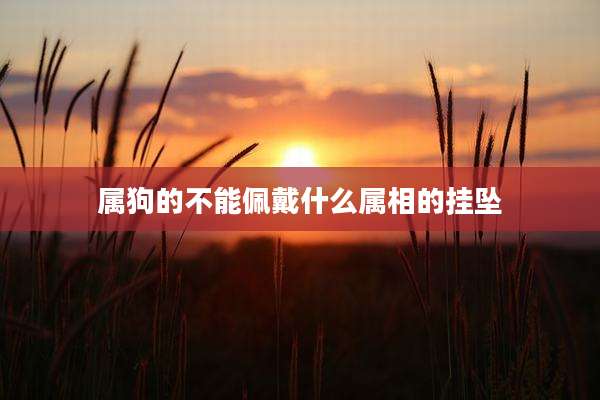 属狗的不能佩戴什么属相的挂坠