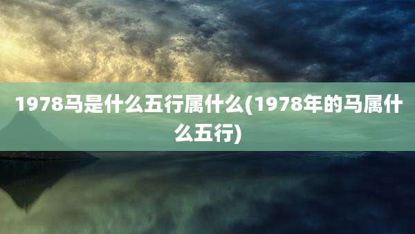 1978马是什么五行属什么(1978年的马属什么五行)