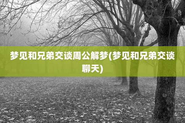 梦见和兄弟交谈周公解梦(梦见和兄弟交谈聊天)
