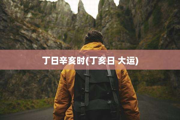丁日辛亥时(丁亥日 大运)