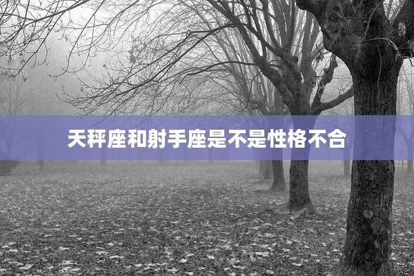 天秤座和射手座是不是性格不合