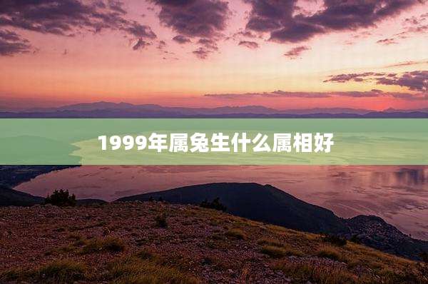 1999年属兔生什么属相好