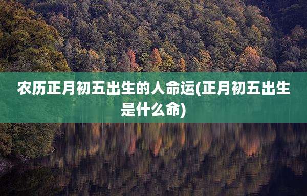 农历正月初五出生的人命运(正月初五出生是什么命)