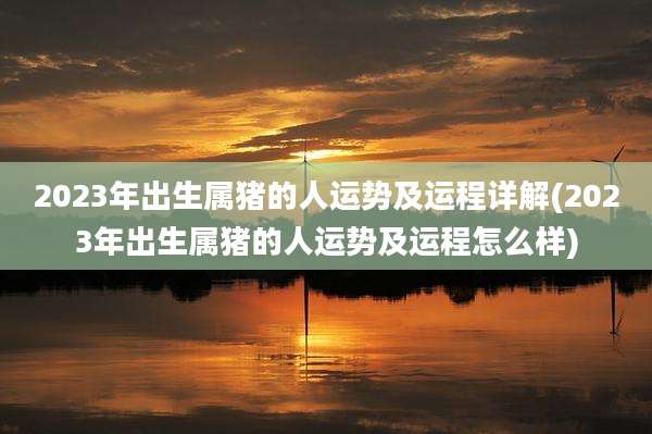 2023年出生属猪的人运势及运程详解(2023年出生属猪的人运势及运程怎么样)