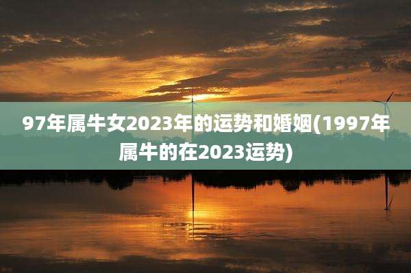 97年属牛女2023年的运势和婚姻(1997年属牛的在2023运势)