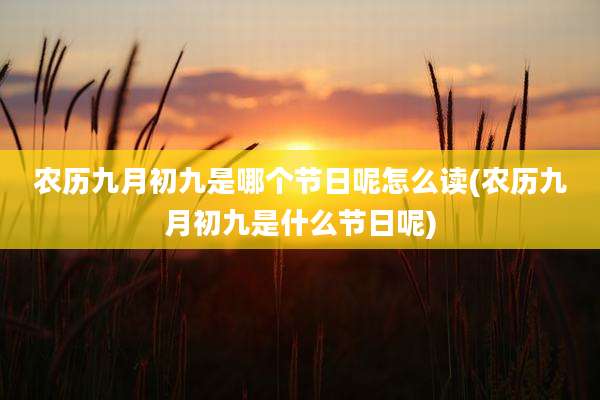 农历九月初九是哪个节日呢怎么读(农历九月初九是什么节日呢)