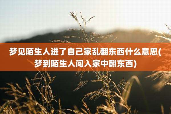 梦见陌生人进了自己家乱翻东西什么意思(梦到陌生人闯入家中翻东西)