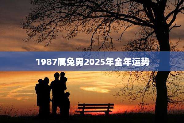 1987属兔男2025年全年运势