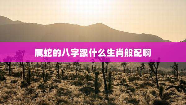 属蛇的八字跟什么生肖般配啊