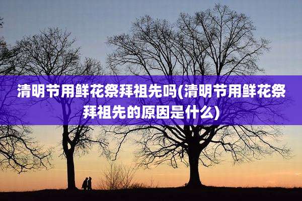清明节用鲜花祭拜祖先吗(清明节用鲜花祭拜祖先的原因是什么)